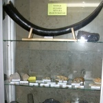 kolekcja Artura Padewskiego